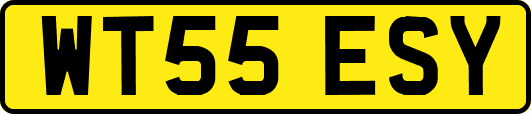 WT55ESY
