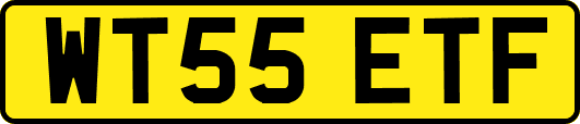 WT55ETF