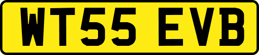 WT55EVB