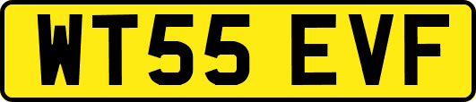 WT55EVF