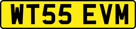 WT55EVM