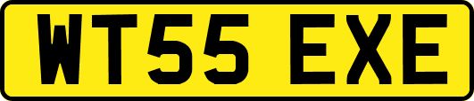 WT55EXE