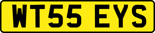 WT55EYS