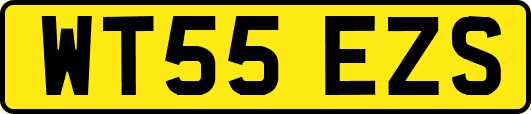 WT55EZS