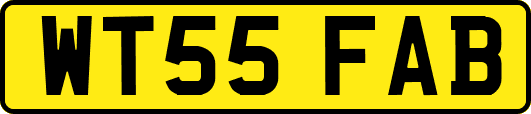 WT55FAB