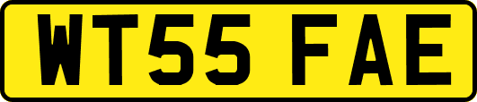 WT55FAE