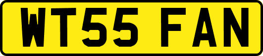 WT55FAN