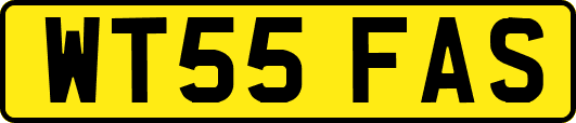 WT55FAS