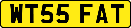 WT55FAT