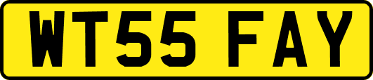 WT55FAY