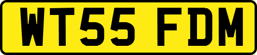 WT55FDM