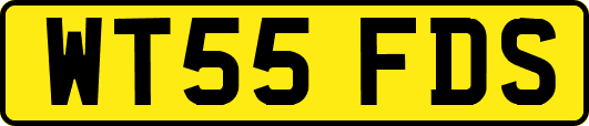 WT55FDS