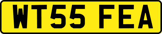 WT55FEA