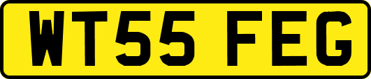 WT55FEG