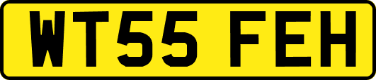 WT55FEH