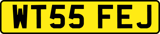 WT55FEJ