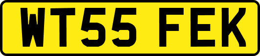WT55FEK