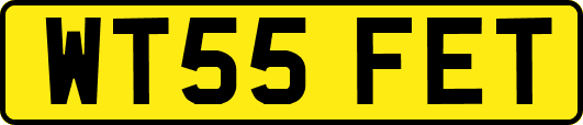 WT55FET