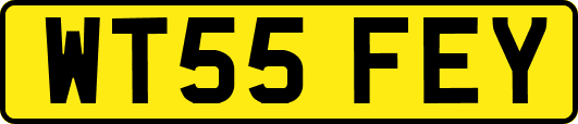 WT55FEY