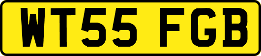 WT55FGB