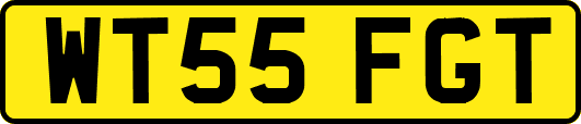 WT55FGT