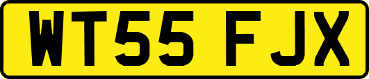 WT55FJX