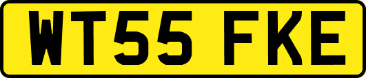 WT55FKE