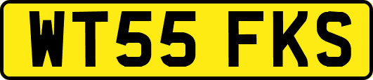 WT55FKS