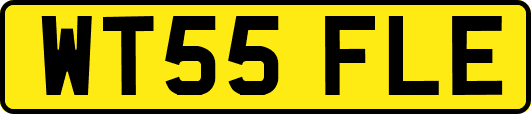 WT55FLE