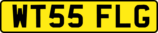 WT55FLG