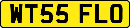 WT55FLO