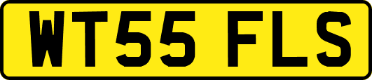WT55FLS