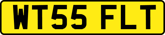 WT55FLT