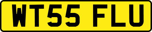 WT55FLU