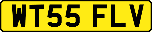 WT55FLV
