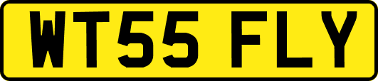 WT55FLY