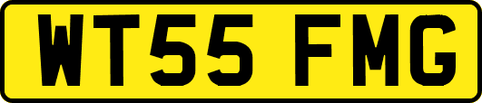 WT55FMG