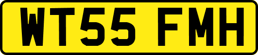 WT55FMH