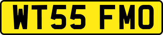 WT55FMO