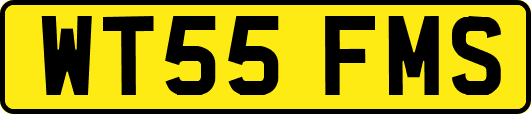 WT55FMS