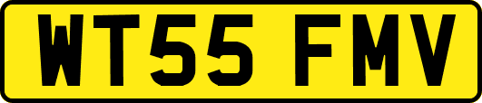 WT55FMV