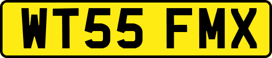 WT55FMX