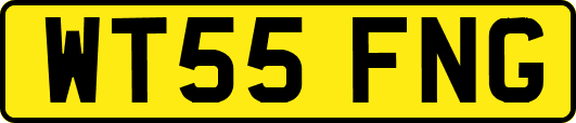 WT55FNG