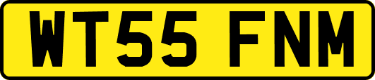 WT55FNM