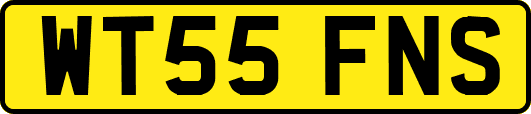 WT55FNS