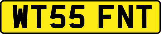 WT55FNT