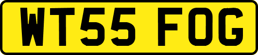 WT55FOG
