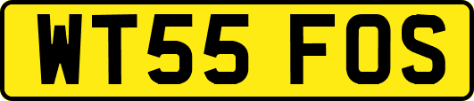 WT55FOS