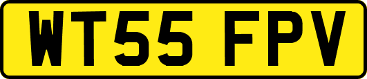 WT55FPV