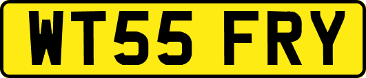 WT55FRY
